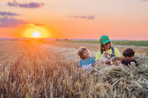 Babies brothers twins with mother and golden retriever puppy in wheat field. Amazing sunset light. Kids laughing, playing with doggy. Happy friendly pet, cinematic unforgettable moments. High quality