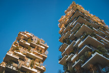 Green gardens on building balconies