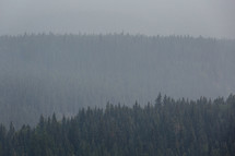 forest and mountains through smokey evening sky