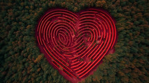 Top view of red heart maze in a forest. 
