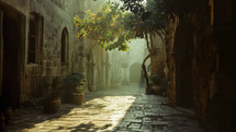 A back alley in an ancient city like Bethlehem, Jerusalem or Rome with a small tree giving shade and pleasant flavor of green. 