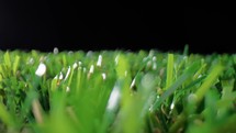 The grass of a football pitch 