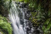 a waterfall in a jungle 