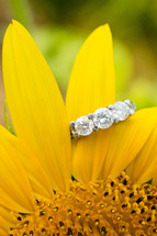 Engagement ring hanging on yellow flower petal