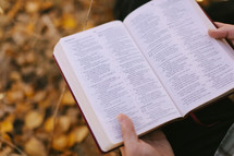 Open Bible Outside During fall 