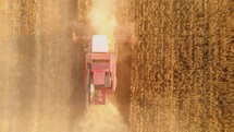 Aerial view 4k combine harvester agriculture machine harvesting golden ripe wheat field. Agricultural harvesting works. The harvester moves in field and mows ripe wheat in the sunset.