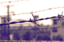 barbed wire closeup 