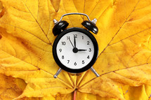 Back to school. Classic black and white alarm clock on bright yellow maple autumn leaves. Concept of change seasons, daylight saving time. Goodbye autumn. Discounts and sale. Natural background.