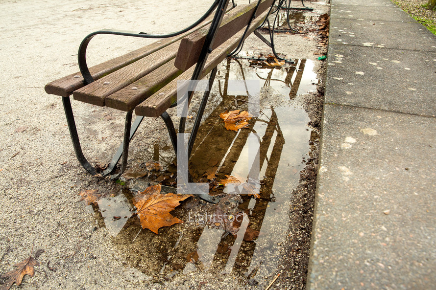 puddle and fall leaves under a park bench 