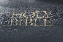 Holy Bible title cover
