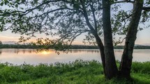 Morning sunrise over green tree on grassy riverside in sunny summer nature Time-lapse
