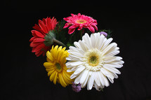 colorful gerber daisies in a flower arrangement 