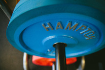 weights in a gym 