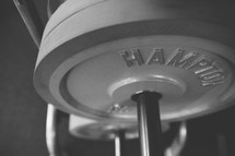 weights in a gym 