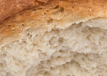 bread texture closeup 