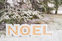 sign noel in the snow 