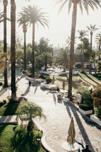 tall palm trees and outdoor courtyard 