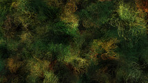 green canvas background 
