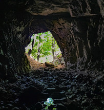 entrance of a cave 