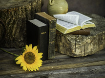 Biblia and sunflower 