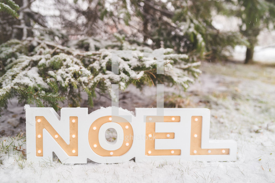 sign noel in the snow 