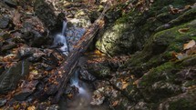 Mountains creek in colorful autumn forest nature Dolly shot time-lapse
