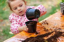 Closeup view of toddler child planting young beet seedling in to a fertile soil. 