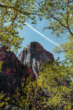 Zion National Park landscape 