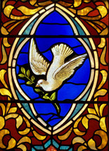 A Stained Glass Window of a Dove with an olive branch in its mouth returning to the Ark showing that there is dry land and the  flood waters receding. If there was ever a story of redemption and God saving man from sin, this was the story from the book of Genesis that showed  the extent that God will go through to redeem mankind from sin. 
