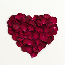 A heart made of red flower petals.