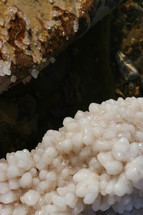 salt crystals at the Dead Sea