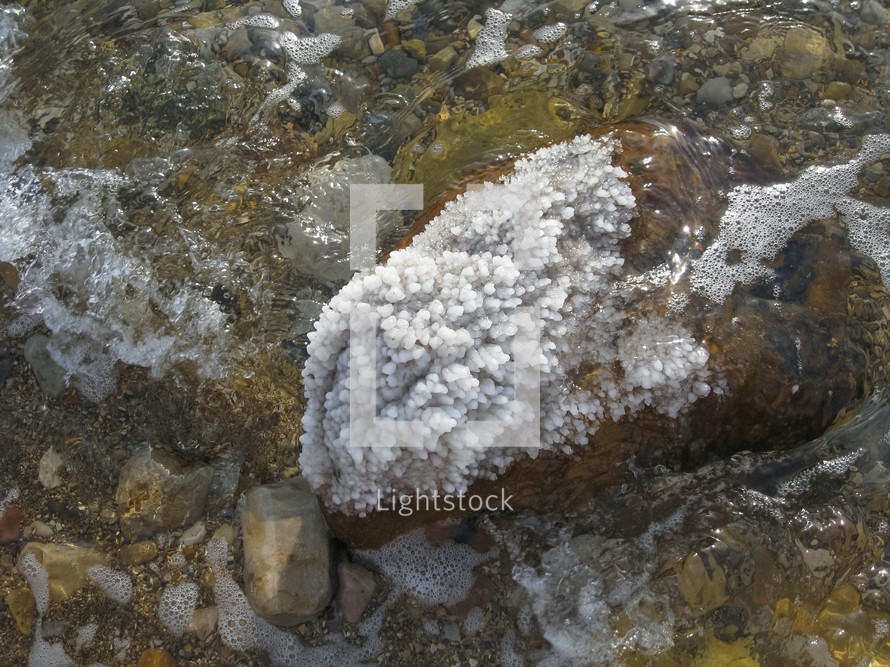 salt on rocks at the Dead Sea