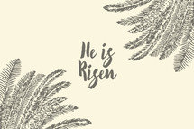 He is Risen and palm tree 