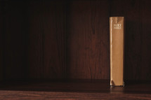 Bible on a bookshelf 