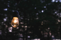 hanging lightbulb outdoors 