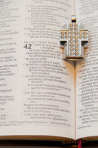 The Lord's Chosen Servant - diamond studded cross necklace lying on the pages of a Bible
