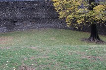green grass and castle walls 