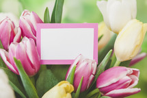 Bouquet of Tulip Flowers for Mother's Day or Easter with blank note card