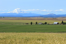 farmland in front of a snow covered mountain peak