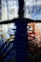 Woman colorful silhouette with trees branches background. Double exposure, abstract concept
