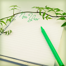 vine, New Years, notebook, pen, writing, notepad, paper 