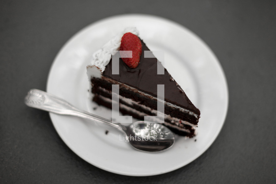 A slice of chocolate cake on a white plate.