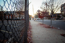 chain link fence lining a sidewalk in fall 