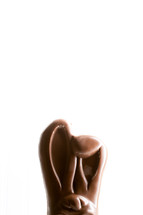 disappearing chocolate bunny