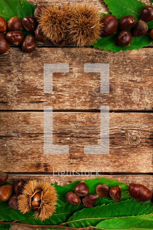 chestnuts on a wood background 
