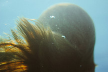 a woman's hair under water 
