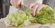 Chef knife cutting green lettuce - close up