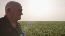 Steadycam shot of an old farmer walking in a green wheat field