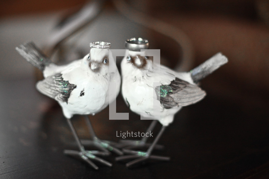 wedding bands on the heads of two bird sculptures 