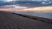 Beautiful colors of sunrise sky with red golden clouds over ocean beach in peaceful evening New Zealand nature landscape Time lapse
